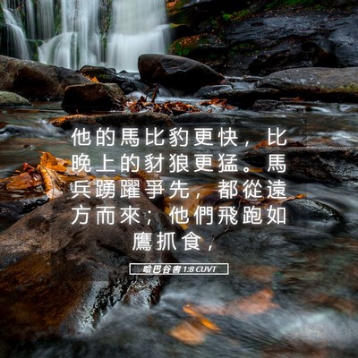 Picture 05 - 哈 巴 谷 書 1:8 CUVT - 他 的 馬 比 豹 更 快 ， 比 晚 上 的 - Bible Verse Picture