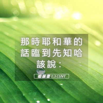 Picture 05 - 哈 該 書 1:3 CUVT - 那 時 耶 和 華 的 話 臨 到 先 知 哈 - Bible Verse Picture