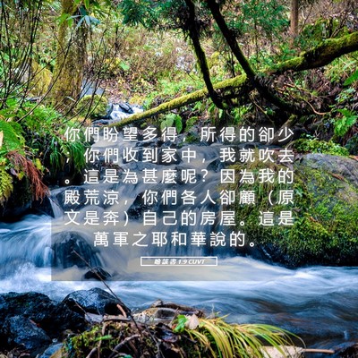 Picture 05 - 哈 該 書 1:9 CUVT - 你 們 盼 望 多 得 ， 所 得 的 卻 少 - Bible Verse Picture