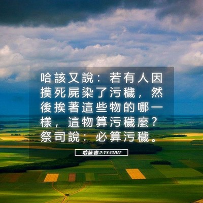 Picture 05 - 哈 該 書 2:13 CUVT - 哈 該 又 說 ： 若 有 人 因 摸 死 屍 - Bible Verse Picture