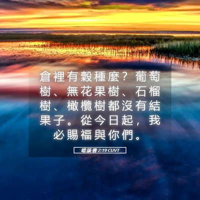 Picture 05 - 哈 該 書 2:19 CUVT - 倉 裡 有 穀 種 麼 ？ 葡 萄 樹 、 無 - Bible Verse Picture
