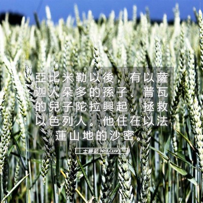 Picture 05 - 士 師 記 10:1 CUVT - 亞 比 米 勒 以 後 ， 有 以 薩 迦 人 - Bible Verse Picture