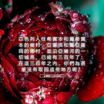Picture 05 - 士 師 記 11:26 CUVT - 以 色 列 人 住 希 實 本 和 屬 希 實 - Bible Verse Picture