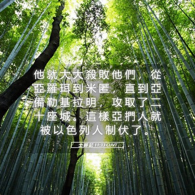 Picture 05 - 士 師 記 11:33 CUVT - 他 就 大 大 殺 敗 他 們 ， 從 亞 羅 - Bible Verse Picture