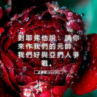 Picture 05 - 士 師 記 11:6 CUVT - 對 耶 弗 他 說 ： 請 你 來 作 我 們 - Bible Verse Picture
