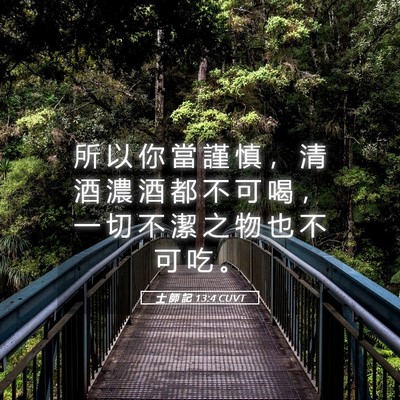 Picture 05 - 士 師 記 13:4 CUVT - 所 以 你 當 謹 慎 ， 清 酒 濃 酒 都 - Bible Verse Picture