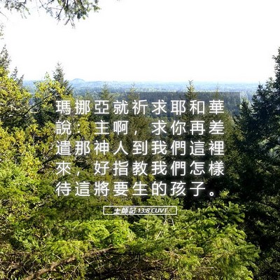 Picture 05 - 士 師 記 13:8 CUVT - 瑪 挪 亞 就 祈 求 耶 和 華 說 ： 主 - Bible Verse Picture