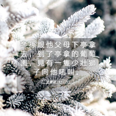 Picture 05 - 士 師 記 14:5 CUVT - 參 孫 跟 他 父 母 下 亭 拿 去 ， 到 - Bible Verse Picture