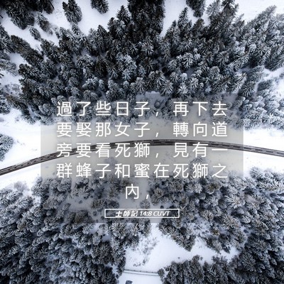 Picture 05 - 士 師 記 14:8 CUVT - 過 了 些 日 子 ， 再 下 去 要 娶 那 - Bible Verse Picture
