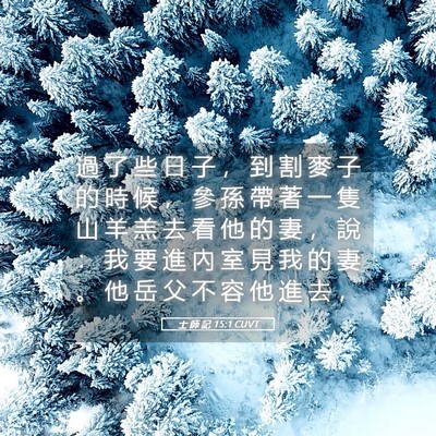 Picture 05 - 士 師 記 15:1 CUVT - 過 了 些 日 子 ， 到 割 麥 子 的 時 - Bible Verse Picture