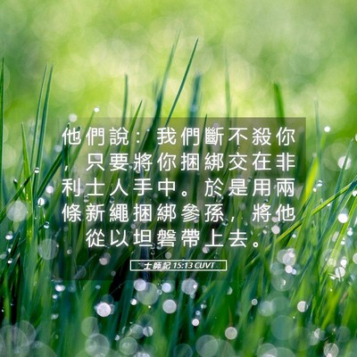 Picture 05 - 士 師 記 15:13 CUVT - 他 們 說 ： 我 們 斷 不 殺 你 ， 只 - Bible Verse Picture