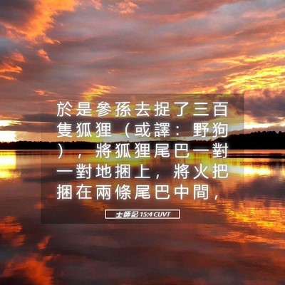 Picture 05 - 士 師 記 15:4 CUVT - 於 是 參 孫 去 捉 了 三 百 隻 狐 狸 - Bible Verse Picture
