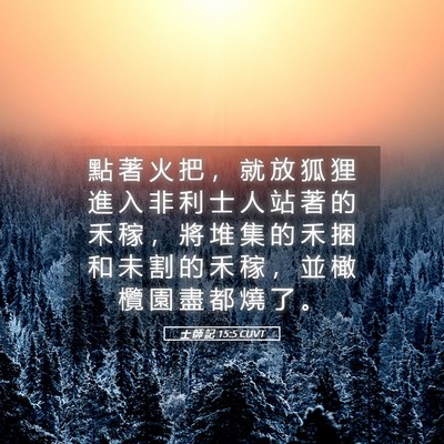 Picture 05 - 士 師 記 15:5 CUVT - 點 著 火 把 ， 就 放 狐 狸 進 入 非 - Bible Verse Picture