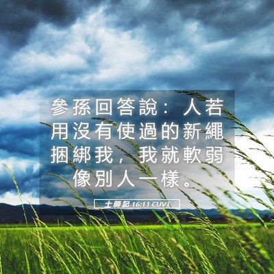 Picture 05 - 士 師 記 16:11 CUVT - 參 孫 回 答 說 ： 人 若 用 沒 有 使 - Bible Verse Picture