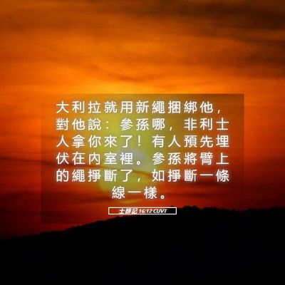 Picture 05 - 士 師 記 16:12 CUVT - 大 利 拉 就 用 新 繩 捆 綁 他 ， 對 - Bible Verse Picture