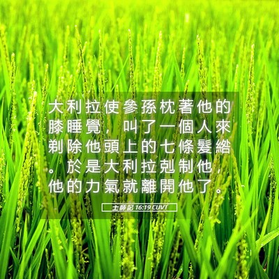 Picture 05 - 士 師 記 16:19 CUVT - 大 利 拉 使 參 孫 枕 著 他 的 膝 睡 - Bible Verse Picture