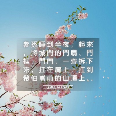 Picture 05 - 士 師 記 16:3 CUVT - 參 孫 睡 到 半 夜 ， 起 來 ， 將 城 - Bible Verse Picture