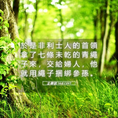 Picture 05 - 士 師 記 16:8 CUVT - 於 是 非 利 士 人 的 首 領 拿 了 七 - Bible Verse Picture