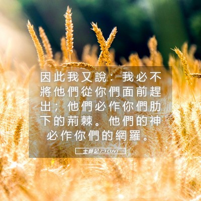 Picture 05 - 士 師 記 2:3 CUVT - 因 此 我 又 說 ： 我 必 不 將 他 們 - Bible Verse Picture