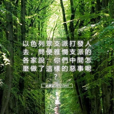 Picture 05 - 士 師 記 20:12 CUVT - 以 色 列 眾 支 派 打 發 人 去 ， 問 - Bible Verse Picture