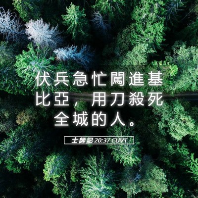 Picture 05 - 士 師 記 20:37 CUVT - 伏 兵 急 忙 闖 進 基 比 亞 ， 用 刀 - Bible Verse Picture