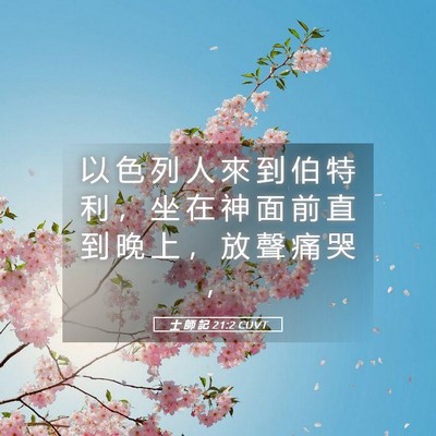 Picture 05 - 士 師 記 21:2 CUVT - 以 色 列 人 來 到 伯 特 利 ， 坐 在 - Bible Verse Picture