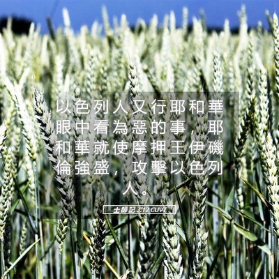 Picture 05 - 士 師 記 3:12 CUVT - 以 色 列 人 又 行 耶 和 華 眼 中 看 - Bible Verse Picture
