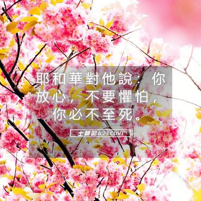 Picture 05 - 士 師 記 6:23 CUVT - 耶 和 華 對 他 說 ： 你 放 心 ， 不 - Bible Verse Picture