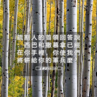 Picture 05 - 士 師 記 8:6 CUVT - 疏 割 人 的 首 領 回 答 說 ： 西 巴 - Bible Verse Picture