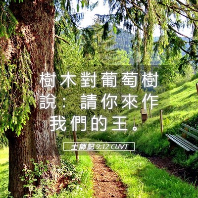 Picture 05 - 士 師 記 9:12 CUVT - 樹 木 對 葡 萄 樹 說 ： 請 你 來 作 - Bible Verse Picture