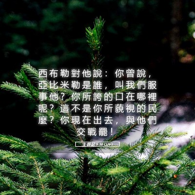 Picture 05 - 士 師 記 9:38 CUVT - 西 布 勒 對 他 說 ： 你 曾 說 ， 亞 - Bible Verse Picture