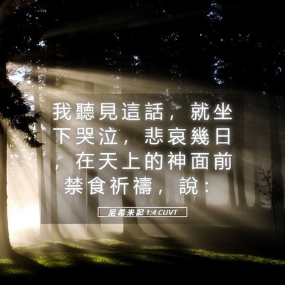 Picture 05 - 尼 希 米 記 1:4 CUVT - 我 聽 見 這 話 ， 就 坐 下 哭 泣 ， - Bible Verse Picture