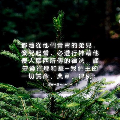 Picture 05 - 尼 希 米 記 10:29 CUVT - 都 隨 從 他 們 貴 冑 的 弟 兄 ， 發 - Bible Verse Picture