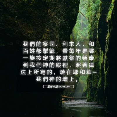 Picture 05 - 尼 希 米 記 10:34 CUVT - 我 們 的 祭 司 、 利 未 人 ， 和 百 - Bible Verse Picture