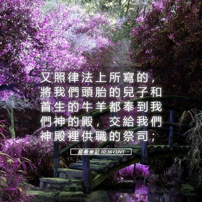 Picture 05 - 尼 希 米 記 10:36 CUVT - 又 照 律 法 上 所 寫 的 ， 將 我 們 - Bible Verse Picture