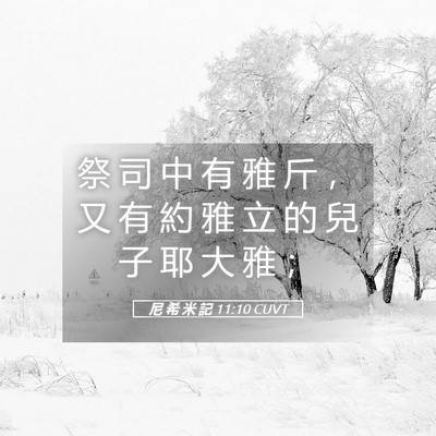 Picture 05 - 尼 希 米 記 11:10 CUVT - 祭 司 中 有 雅 斤 ， 又 有 約 雅 立 - Bible Verse Picture