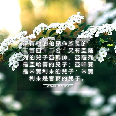 Picture 05 - 尼 希 米 記 11:13 CUVT - 還 有 他 的 弟 兄 作 族 長 的 ， 二 - Bible Verse Picture