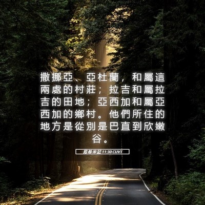 Picture 05 - 尼 希 米 記 11:30 CUVT - 撒 挪 亞 、 亞 杜 蘭 ， 和 屬 這 兩 - Bible Verse Picture
