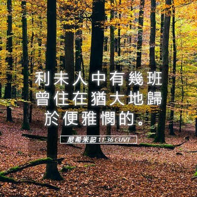 Picture 05 - 尼 希 米 記 11:36 CUVT - 利 未 人 中 有 幾 班 曾 住 在 猶 大 - Bible Verse Picture