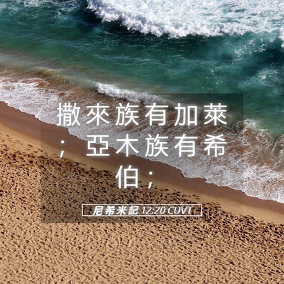 Picture 05 - 尼 希 米 記 12:20 CUVT - 撒 來 族 有 加 萊 ； 亞 木 族 有 希 - Bible Verse Picture