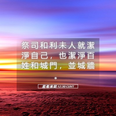 Picture 05 - 尼 希 米 記 12:30 CUVT - 祭 司 和 利 未 人 就 潔 淨 自 己 ， - Bible Verse Picture