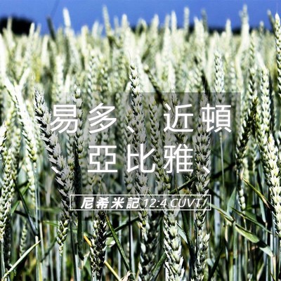 Picture 05 - 尼 希 米 記 12:4 CUVT - 易 多 、 近 頓 、 亞 比 雅 - Bible Verse Picture