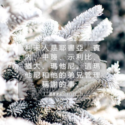 Picture 05 - 尼 希 米 記 12:8 CUVT - 利 未 人 是 耶 書 亞 、 賓 內 、 甲 - Bible Verse Picture