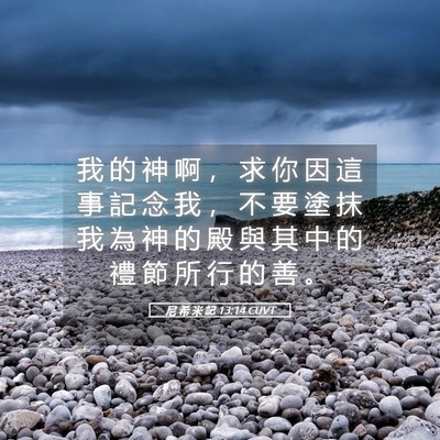 Picture 05 - 尼 希 米 記 13:14 CUVT - 我 的 神 啊 ， 求 你 因 這 事 記 念 - Bible Verse Picture