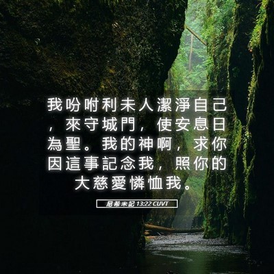 Picture 05 - 尼 希 米 記 13:22 CUVT - 我 吩 咐 利 未 人 潔 淨 自 己 ， 來 - Bible Verse Picture