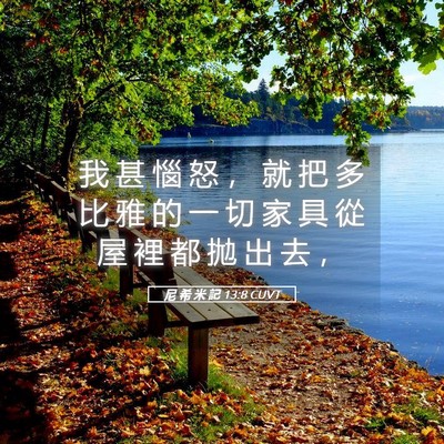 Picture 05 - 尼 希 米 記 13:8 CUVT - 我 甚 惱 怒 ， 就 把 多 比 雅 的 一 - Bible Verse Picture
