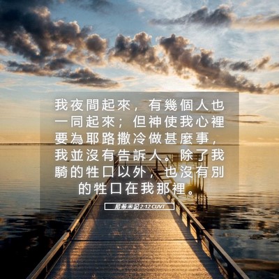 Picture 05 - 尼 希 米 記 2:12 CUVT - 我 夜 間 起 來 ， 有 幾 個 人 也 一 - Bible Verse Picture