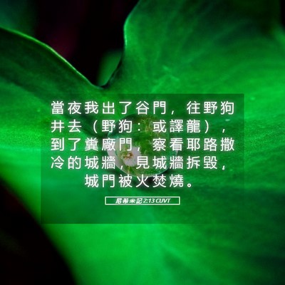 Picture 05 - 尼 希 米 記 2:13 CUVT - 當 夜 我 出 了 谷 門 ， 往 野 狗 井 - Bible Verse Picture