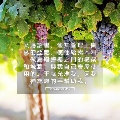 Picture 05 - 尼 希 米 記 2:8 CUVT - 又 賜 詔 書 ， 通 知 管 理 王 園 林 - Bible Verse Picture