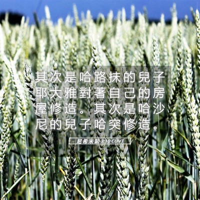 Picture 05 - 尼 希 米 記 3:10 CUVT - 其 次 是 哈 路 抹 的 兒 子 耶 大 雅 - Bible Verse Picture